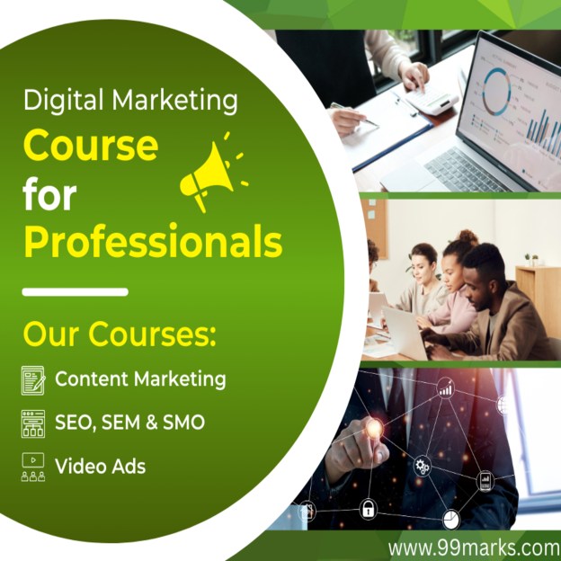 Digital Marketing Course for Professionals